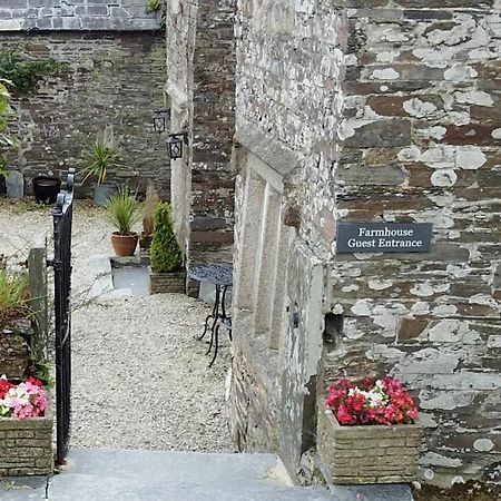 Reddivallen Farmhouse Boscastle Exteriör bild